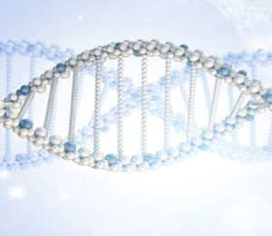 DNA model