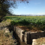 Un canal de regadío lleva aguas no tratadas a los campos del Valle de Mezquital.