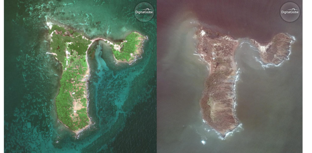 Fotos aéreas de Cayo Santiago antes y después del huracán María. Crédito de foto: Noah Snyder Mackler, Universidad de Michigan