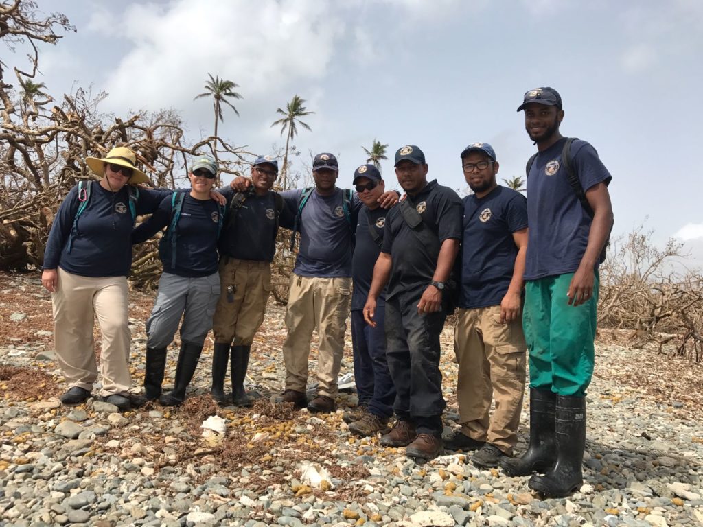 El personal visita Cayo Santiago para evaluar el daño después de la tormenta. Crédito de foto: Crédito de foto: Angelina Ruiz Lambides, Centro de Investigación de Primates del Caribe.