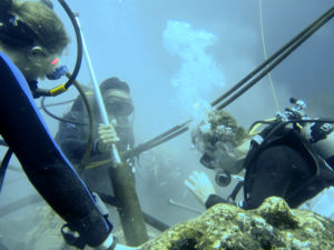 Miembros del equipo extraen núcleo de un coral Jiménez y sus colegas estudiaron muestras extraídas del coral en la parte norte deshabitada del Parque Nacional de las Islas Galápagos.