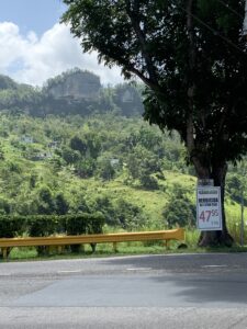 Un anuncio de un herbicida a base de glifosato en el norte de Puerto Rico inspiró a científicos de la Universidad de Michigan a investigar el impacto de la sustancia química en los nacimientos prematuros en la isla. Crédito de foto: John Meeker, Escuela de Salud Pública de la Universidad de Michigan.